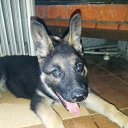 ���� ������, ������� - ��������� 3 ������� 2024 � ������ ���� ����������