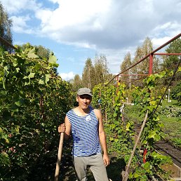 �������, �����-�������, 45 ���