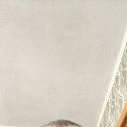 ����, ����, 59 ���