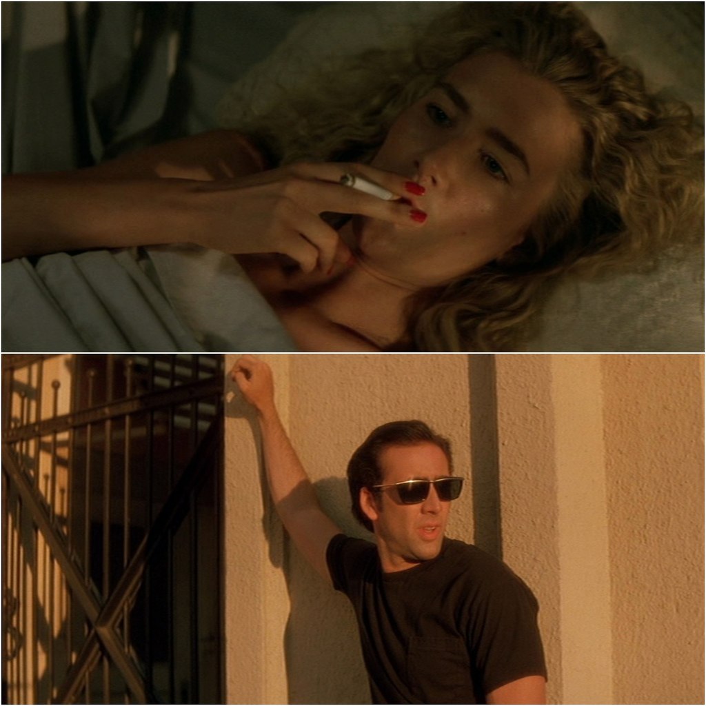   / Wild at Heart (1990).:  :   - 4