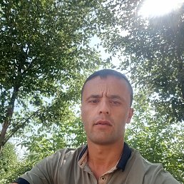, 33, 