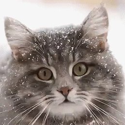 Oleg, ������, 69 ���