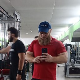 ������, ���������, 41 ���