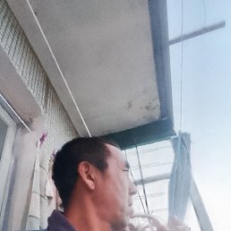 �������, �����������, 44 ����