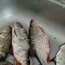���� ������� 59, ������, 59 ��� - ��������� 18 ������� 2025 � ������ ���� ����������