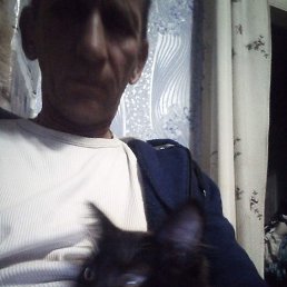 , 56, 