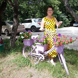, 56, 