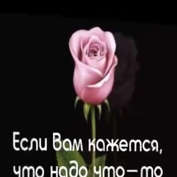 �����, ������