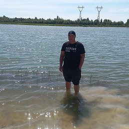 �������, ����, 36 ���