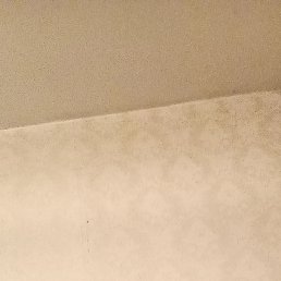 �������, 41 ���, ������������