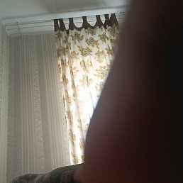 ���� ���������, �����, 45 ��� - ��������� 5 ���� 2024