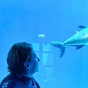 ���� �������, �����������, 46 ��� - ��������� 5 ������� 2026 � ������ ���� ����������