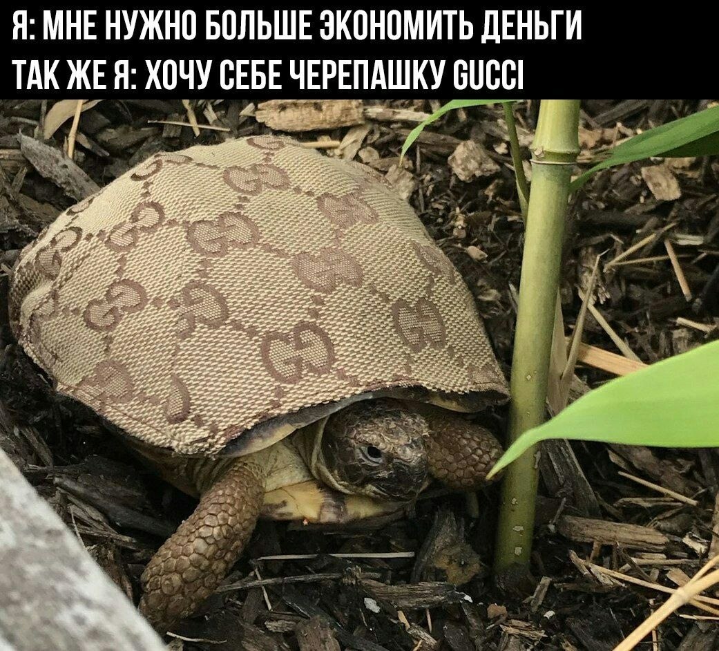    - 6  2023  23:26