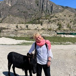 ���� �������, ������, 48 ��� - ��������� 9 ������� 2025