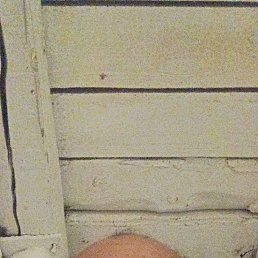 , 54 , 