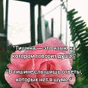 ���� ��������, ������������ - ��������� 25 ������ 2026 � ������ ������ ��������