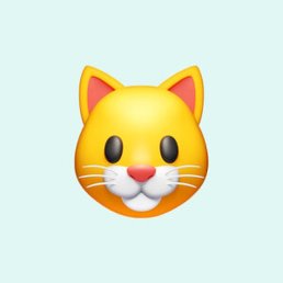 �������, ����, 26 ���