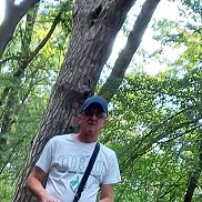 ����, 60 ���, �������