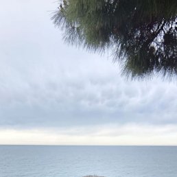 Aleksander, 41, 