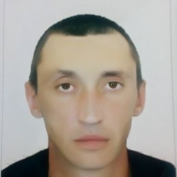 �������, 41 ���, ������