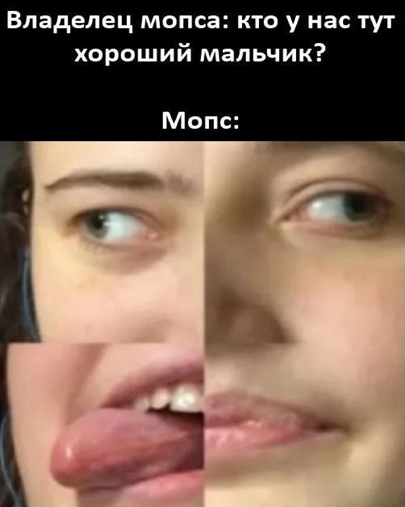 ���� - 6 �������� 2025 � 15:56