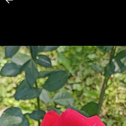 ���� ������, �����-���������, 63 ���� - ��������� 3 ������ 2025