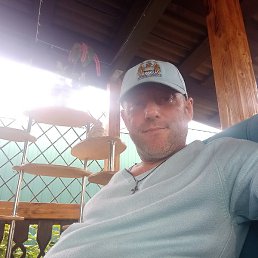 ���������, ����������, 50 ���