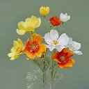 ���� /~����/�, ���������� - ��������� 17 ������� 2025 � ������ ������ ��������