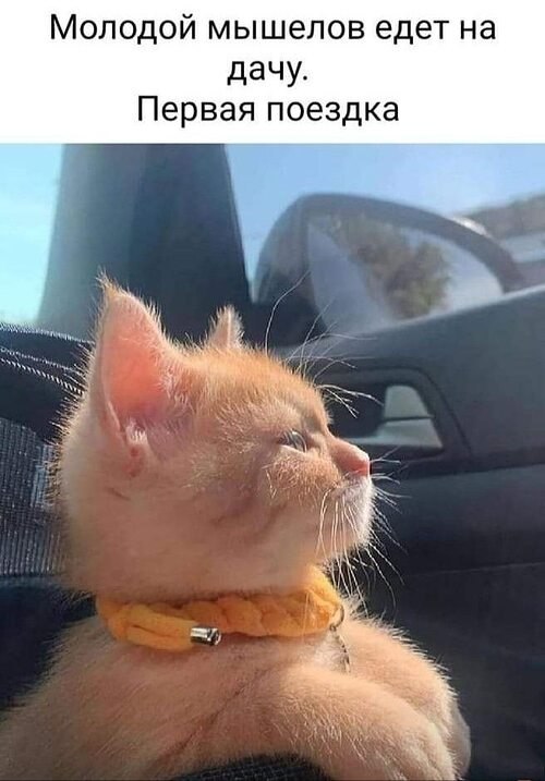 �� ����� ������! - 22 ������ 2026 � 11:12