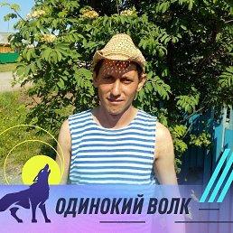 ���� �������, 39 ���, �����