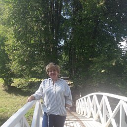 �������, �����-���������, 66 ���