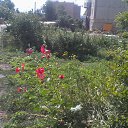 ���� ���������, �������� - ��������� 22 ������� 2025 � ������ �����