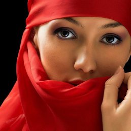 ��������(����), ��������, 55 ���