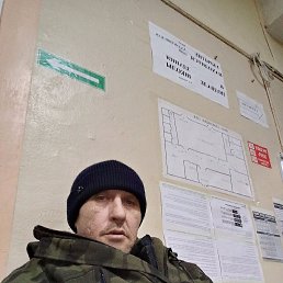 ������� ���������, 46 ���, �����������