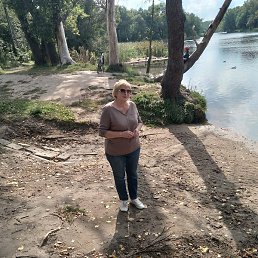 �������, ������, 65 ���