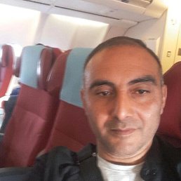, 41, 