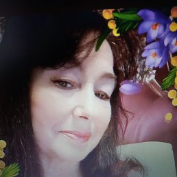 ������, ����, 62 ����