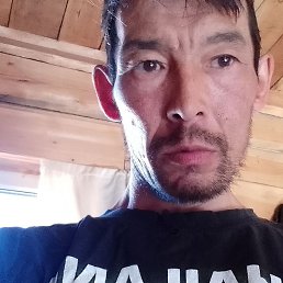 ����, �����-���������, 46 ���