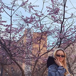 ����, �����������, 24 ����