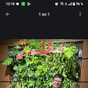 ���� �������, ������������, 53 ���� - ��������� 4 ������� 2026 � ������ ���� ����������