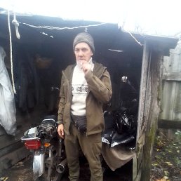 ������, 49 ���, �����