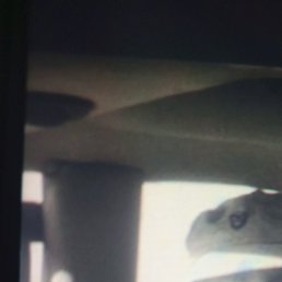 �������, �����������, 53 ����