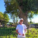  , -, 49  -  15  2025    