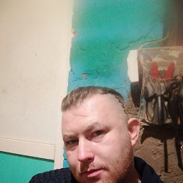 ������, 37 ���, ������