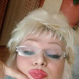 ���� ����, ������������, 51 ��� - ��������� 7 ���� 2026