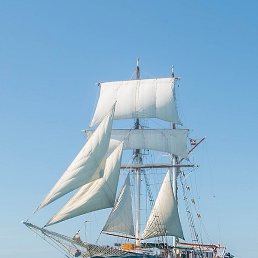 �����, ����������, 55 ���