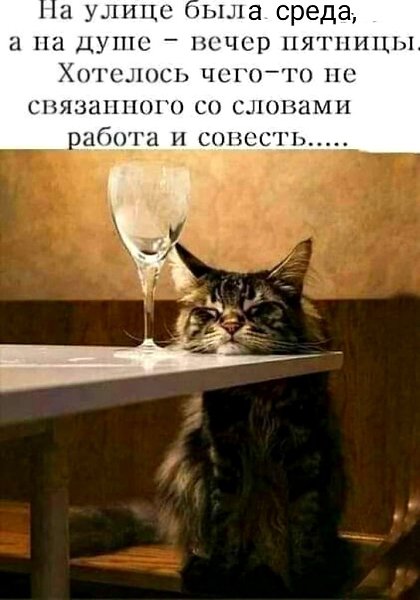   - 10  2024  23:28
