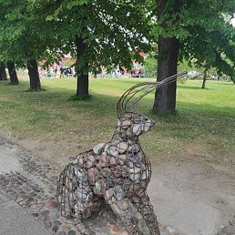 ������, �������, 97 ���