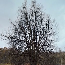 ���� �������, ������, 69 ��� - ��������� 9 ������ 2023