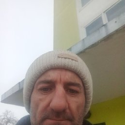 ���� ������� ���������, ������, 44 ���� - ��������� 12 ������ 2026